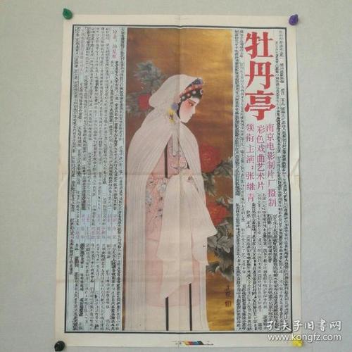 鳴門教育大学Accounting Diploma
